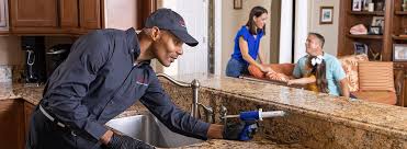 Best Residential Pest Control  in Summit Hill, PA